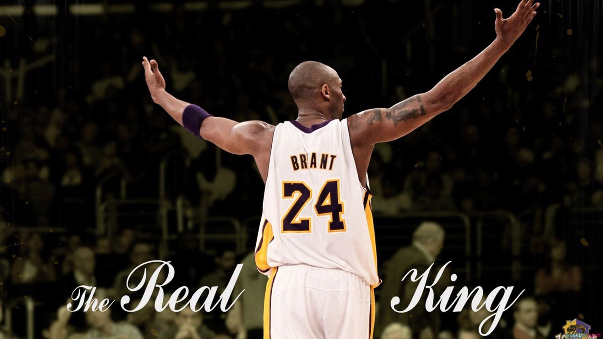 NBA赛事视频技术进步与战术应用，nba技术大赛