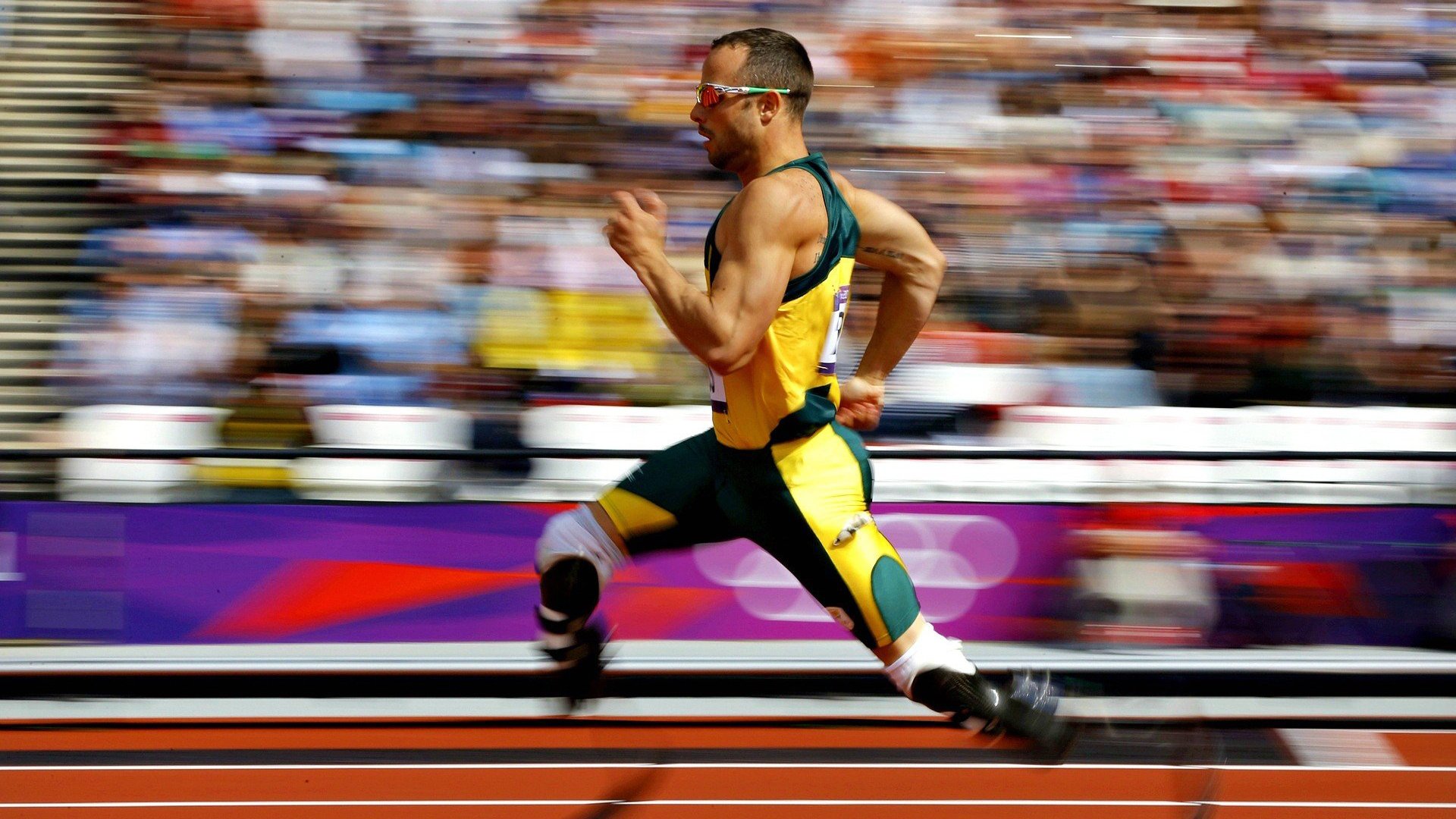 世界攀岩锦标赛决赛中国队斩获首金，世界攀岩日